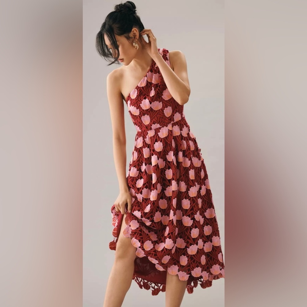 Maeve dress from Anthropologie